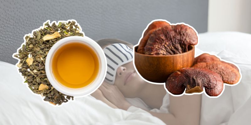 Dormir bien sí es posible: Descubre el poder de las infusiones y hongos adaptógenos.