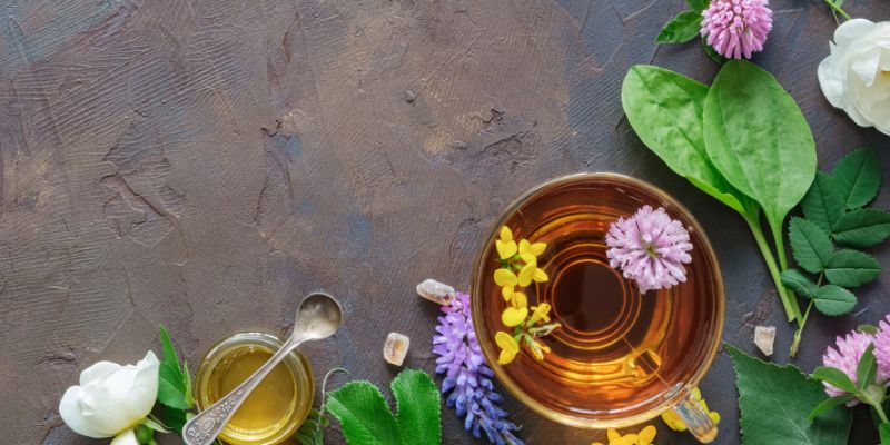 Té e Infusión: ¿Son realmente lo mismo?