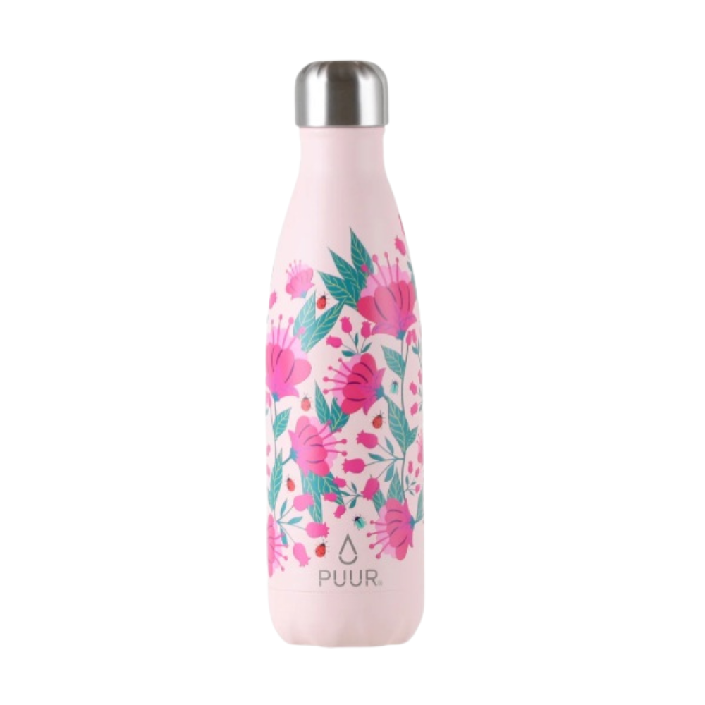 Botella Térmica Ladybug 500ml