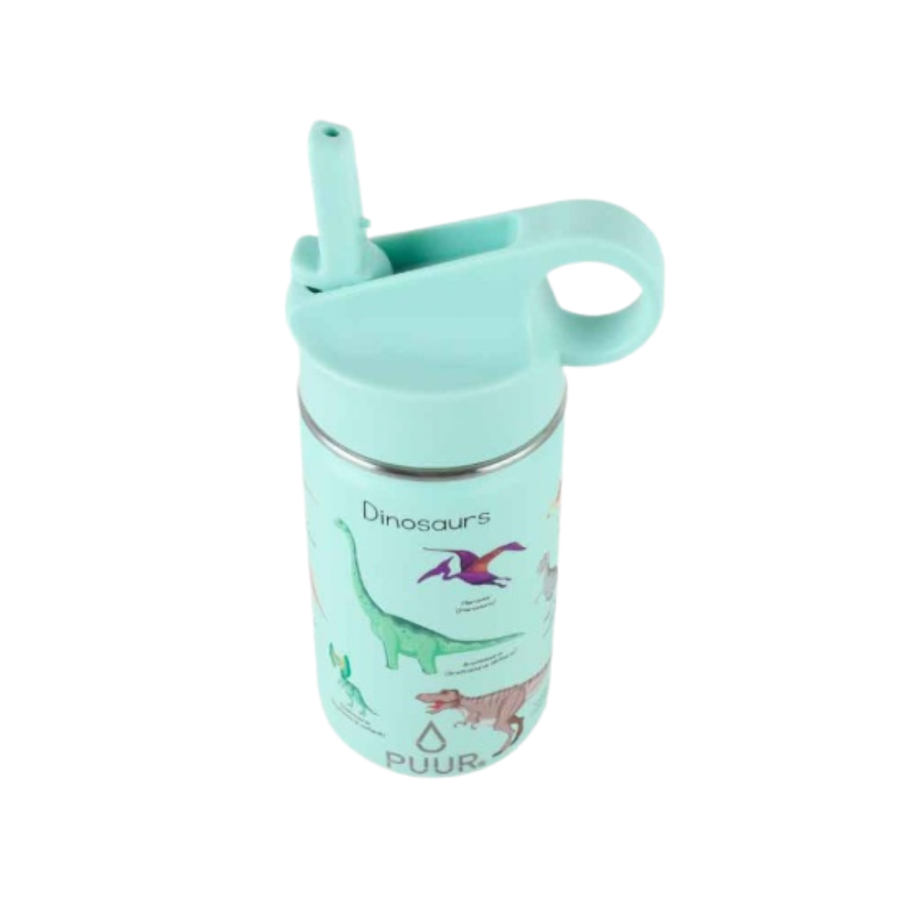 Botella Térmica Dino 350ml