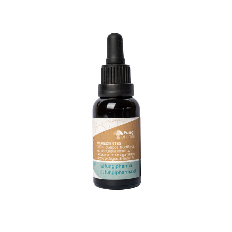 Extracto Chaga 30ml