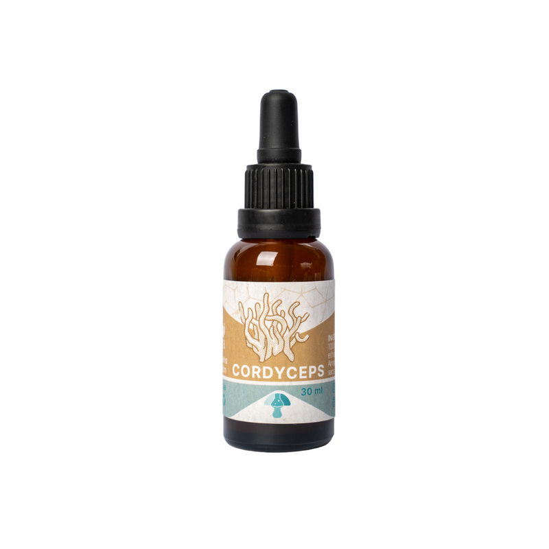 Extracto Cordyceps 30ml