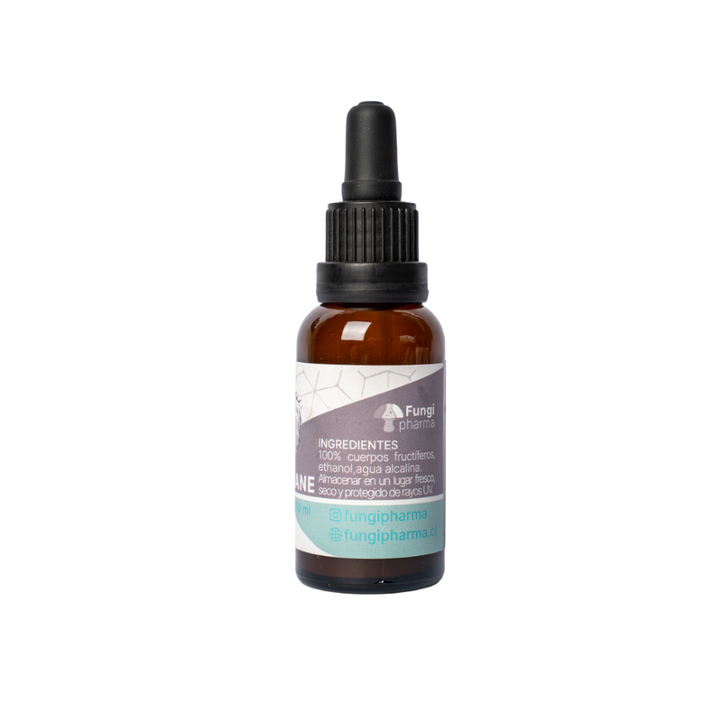 Extracto Melena de León - Lion´s Mane 30ml
