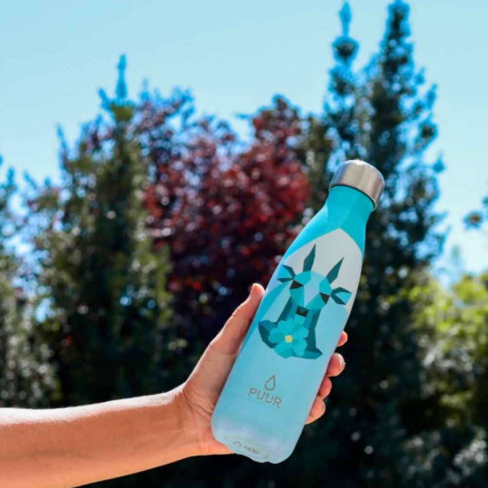 Botella Térmica Huemul 500ml