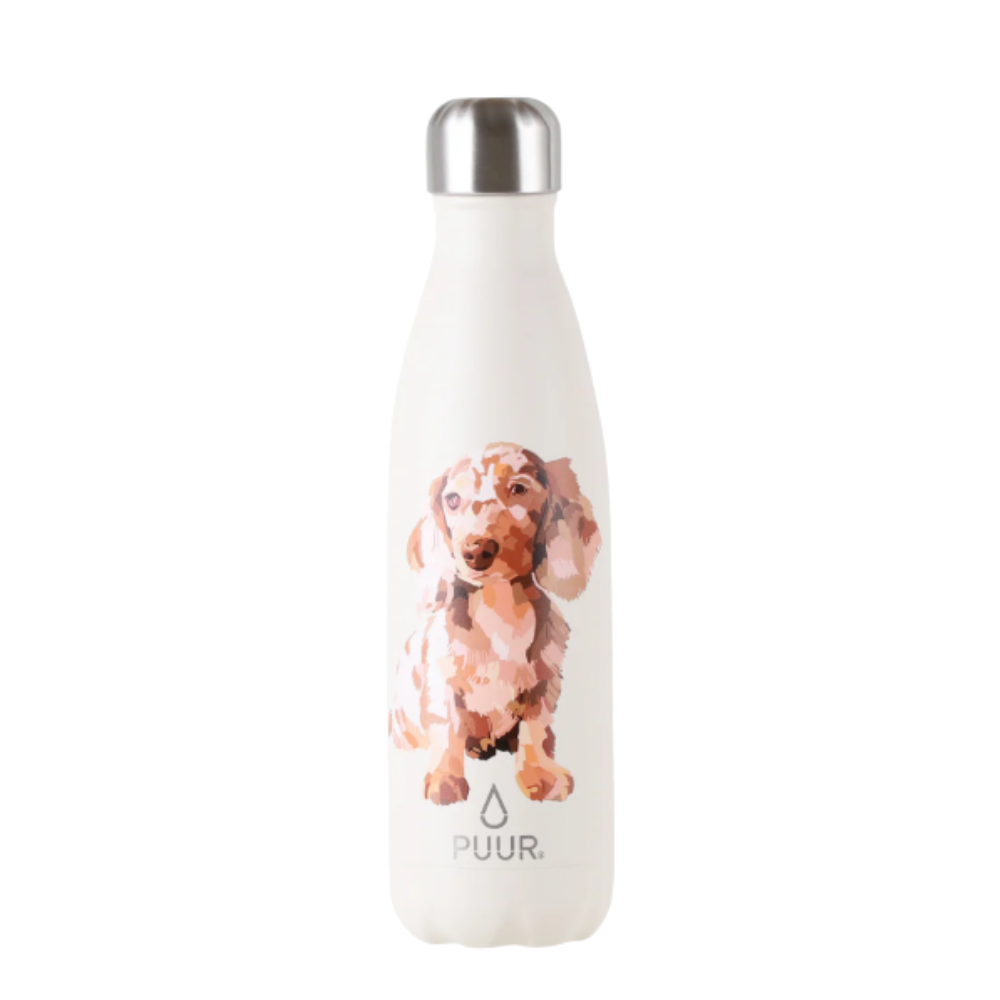 Botella Térmica Teckel 500ml