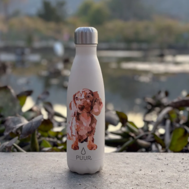 Botella Térmica Teckel 500ml